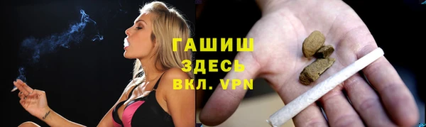 сатива Белокуриха