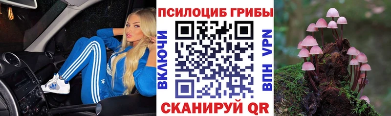 Галлюциногенные грибы Psilocybine cubensis  Дальнегорск 