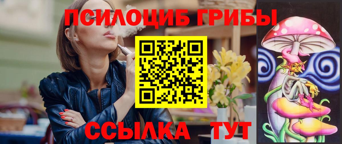 где купить   Галлюциногенные грибы мухоморы  Псилоцибиновые грибы ЛСД  Вход с VPN  Дальнегорск 